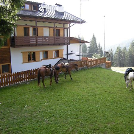 Hotel Piccolo Pocol Cortina dʼAmpezzo Exteriör bild