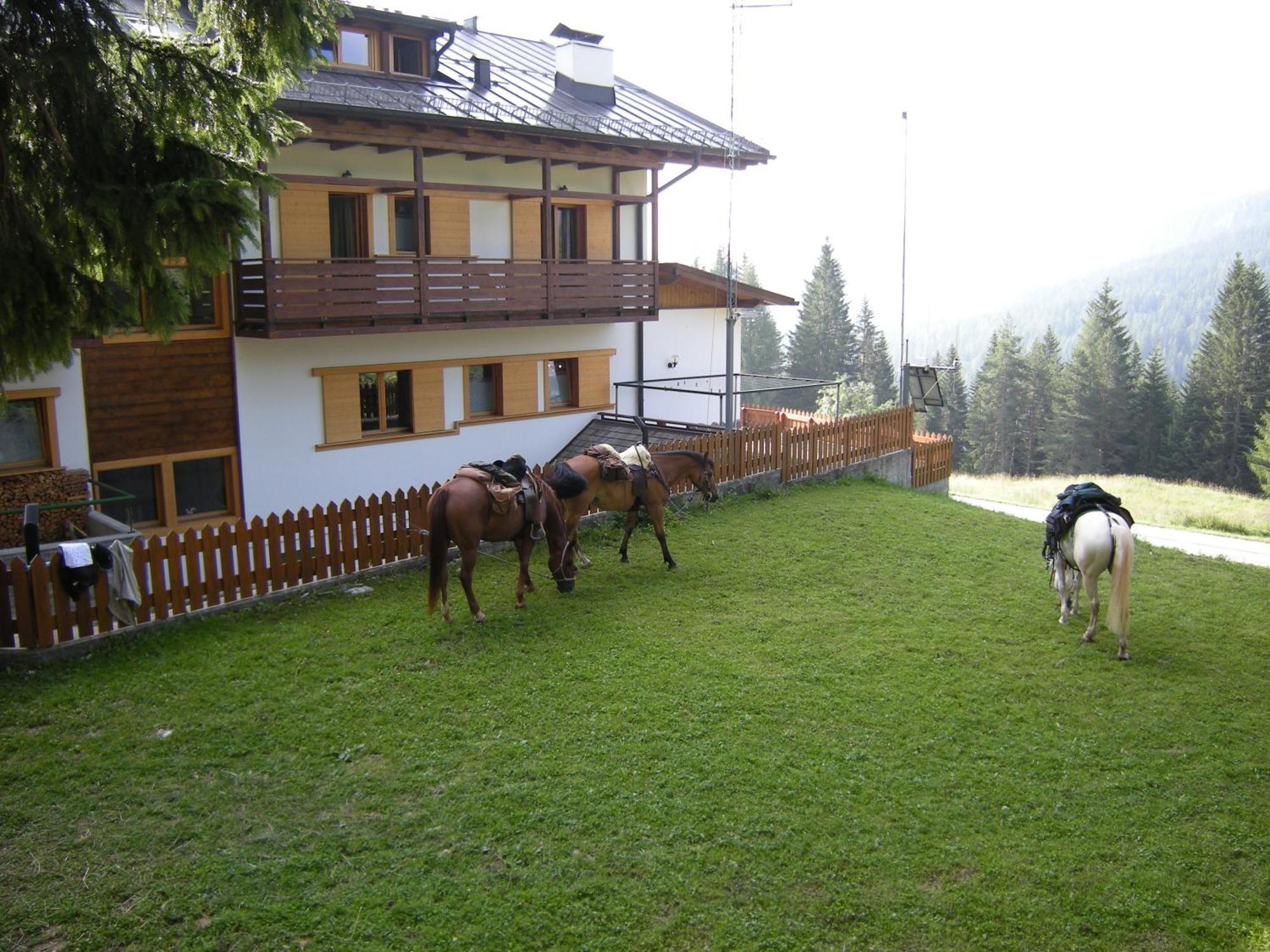 Hotel Piccolo Pocol Cortina dʼAmpezzo Exteriör bild